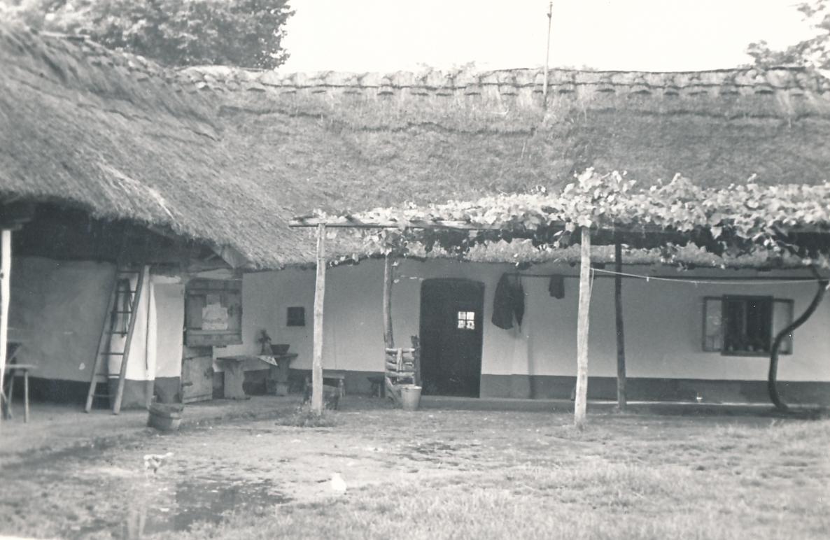 eika image